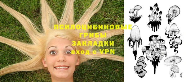 скорость Алексин