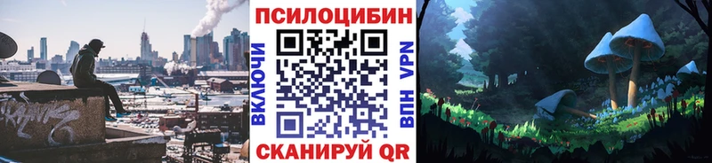 Галлюциногенные грибы Psilocybine cubensis  Нытва 